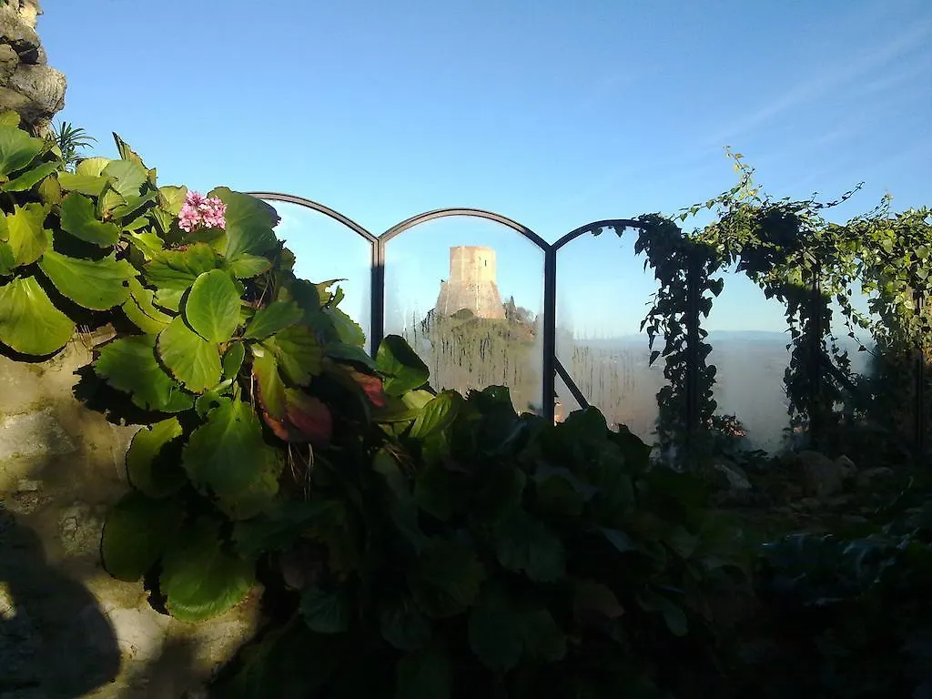 B&B Il Vecchietta Castiglione d'Orcia Bed & Breakfast
