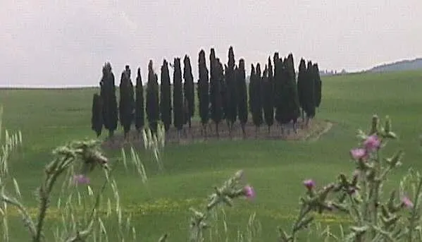 B&B Il Vecchietta Castiglione d'Orcia Italy
